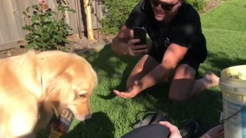 Dog brings owner a beer