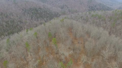 Drone view of our land