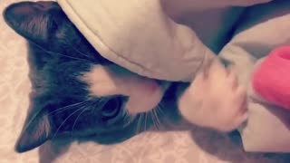 Caty Playing Under The Blanket