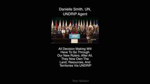 Indigenous meaning - what they don't teach you in school Danielle Smith usin UN Buzzwords