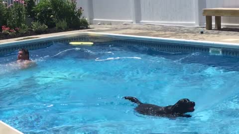 Dog just wants to retrieve ball despite massive cannonball