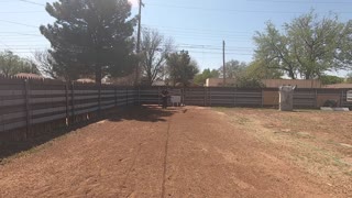 Shooting Arrows at My New Backyard Archery Range