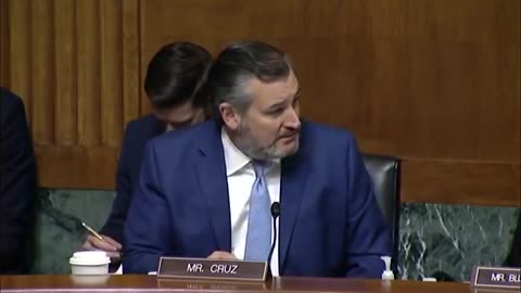 'You Think The Entire State Of Texas Is Racist?': Ted Cruz Grills Dem Witnesses On Voter ID Laws