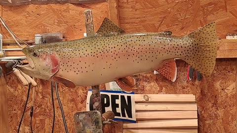 How to Prep/ Paint a Reproduction Rainbow Trout