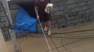 Pets Rescued From Fierce Flooding