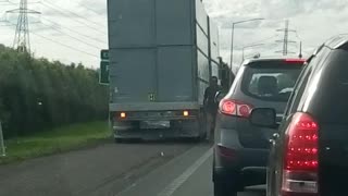 Sheep Mysteriously on Top of Semi-Truck