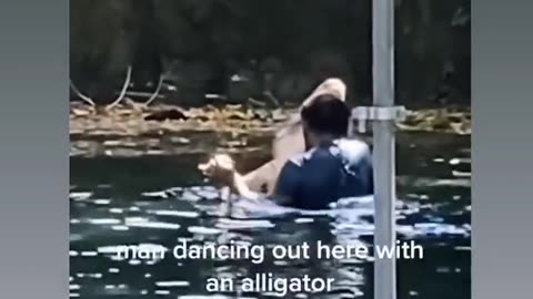 Man dancing with the gators.