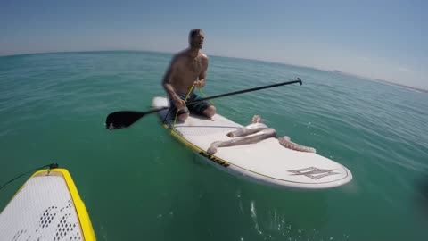 Giant Squid Attacks Surf Board!