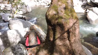 Relaxing Mountain Stream