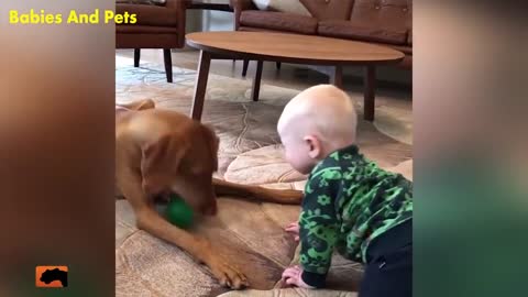 Funny Baby And Vizsla Dogs! Playing Together Cute Baby Video YouTube 720p