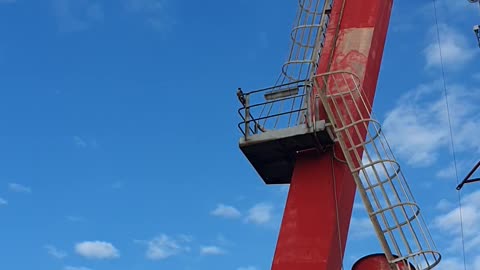 Peregrine Falcon on crane at work