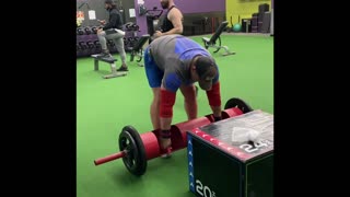 Log Press - Training the Viper Press