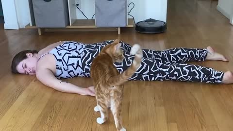 Cats And Dogs React To Their Owners “Playing Dead”