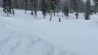 Snowboarding action