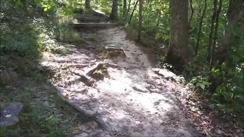 Virtual Walk Forest Rocks Trees Nature Hike Scenic Path Trail to Ancient Civilization Relaxing ASMR
