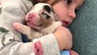 Little Girl Preciously Holds Her Newborn Puppy