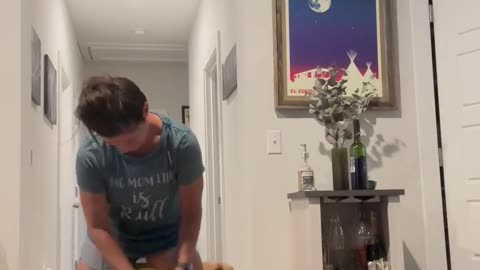 Dog Hops Excitedly While Getting Butt Scratches From