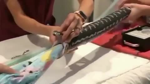 Towel Removed From PYTHONs Mouth
