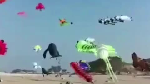 Unique Kites