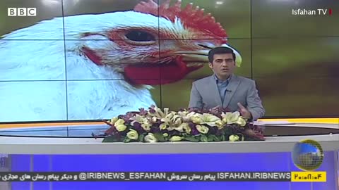 Why Iranians have been queueing for chicken