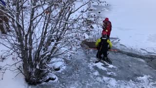 Firefighters heroically rescue deer from icy lake in Colorado