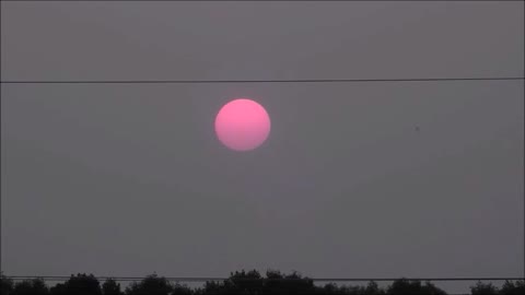 Gorgeous Pink Sun Setting Into Forest Fire Haze