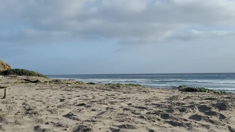 Jalama Beach