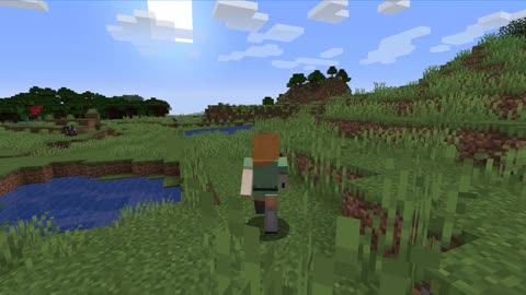 Minecraft vanilla skin version 1.17.1_ Shorts_2nd_Outting_9