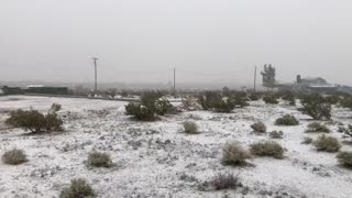 Desert Snow 2019