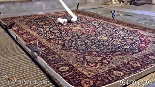 Cleaning Oriental rug for Mr. David in Missouri | PetPeePee