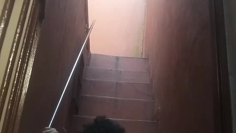 #rolando pelas escada