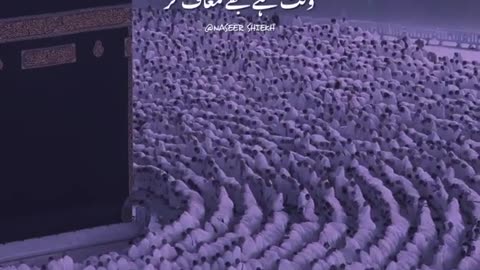 Shorts | 2024 | Islami Video | THE DVD | #Makkah |
