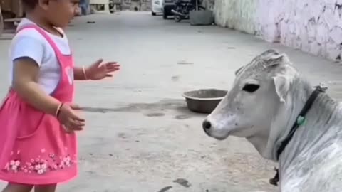 Cute baby love with animal