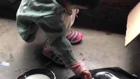 A little boy's feeding his dog.