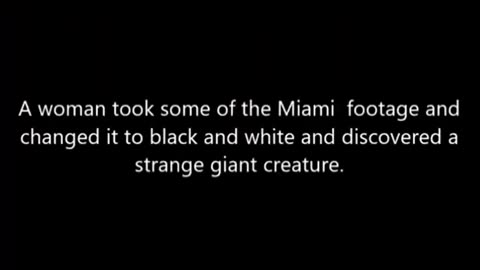 A VIDEO OF THE 10' CREATURE IN MIAMI HAS EMERGED