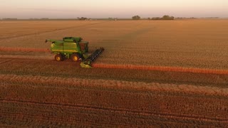 Harvest season