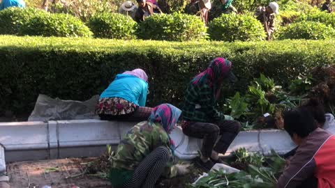 Teamwork in Chinese neighborhood