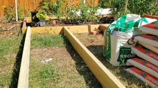 Raised Bed Gardening 101