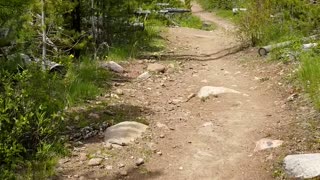 The trail to Heart Lake, Montana