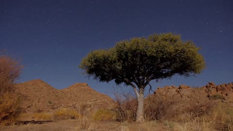 African Night Sky Timelapse