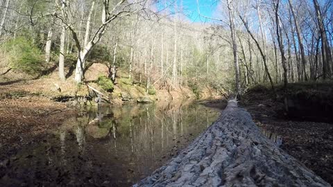 Red River Gorge - November - 2015