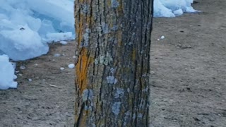 Winds Force Ice from Lake Into Buildings on Shore