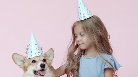 dog celebrates birthday