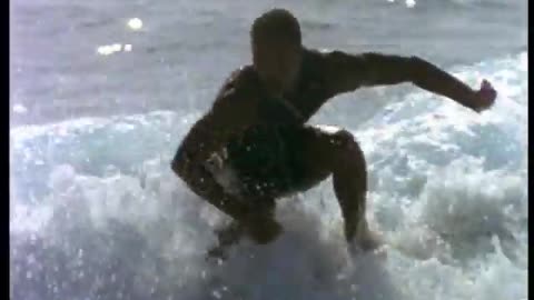 SURFING MOVIE - GREEN IGUANA