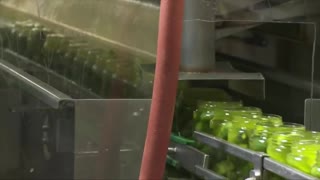 How Pickles are made