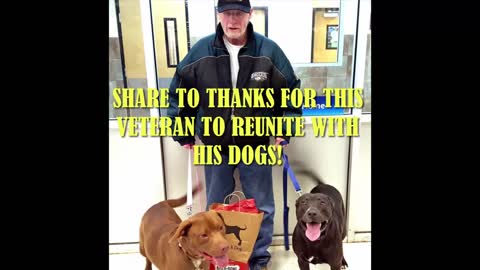 Veteran Reunite With His Dogs Will Make You Tears