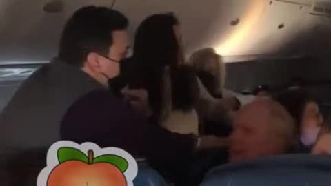 Feminazi Upset with Flight Attendant, Assaults Male Passenger (NoDeplorables.com)