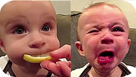 #funniesthomevideos Best Videos of Cute Babies Eating Lemons for the first tome - Try Not to laugh