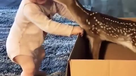 Cute baby Viral Video
