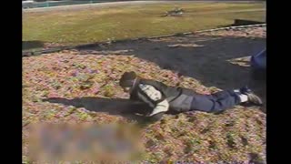 Dog Jumps From Top Of Slide To Tackle Kid